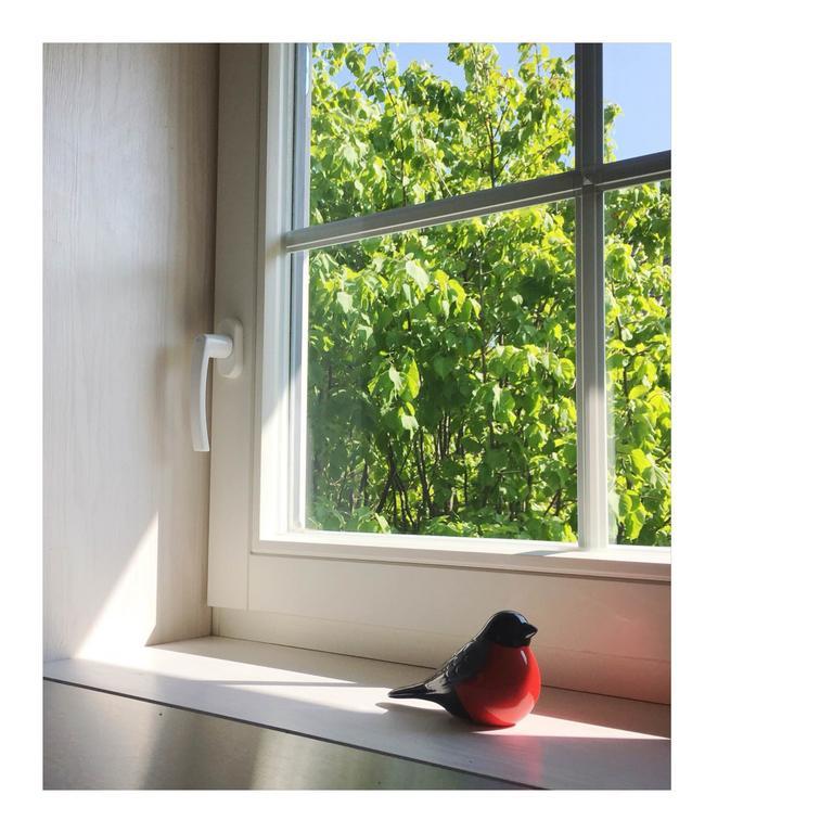 Apartmán Cardinalis House Pāvilosta Exteriér fotografie